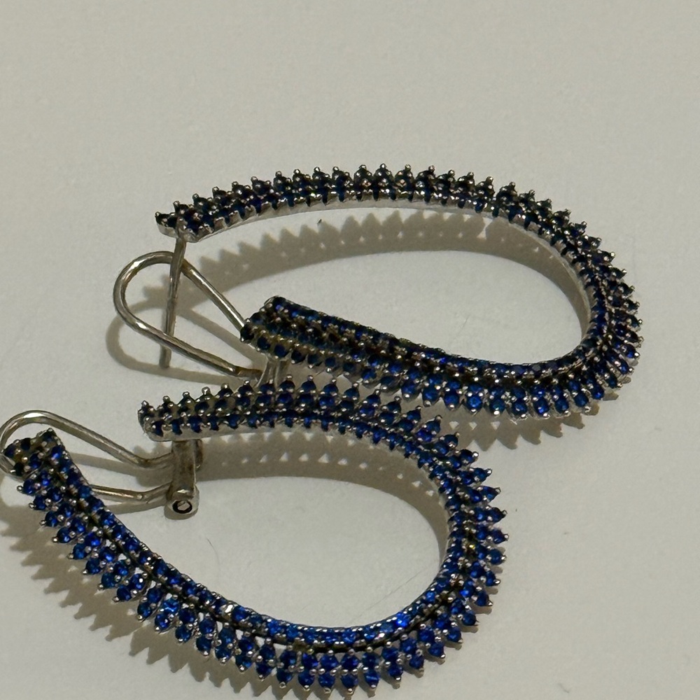 Elegant Blue Teardrop Earrings